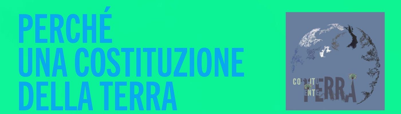 PERCHÉ UNA COSTITUZIONE DELLA TERRA